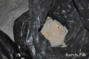 1349262669__dsc_0166