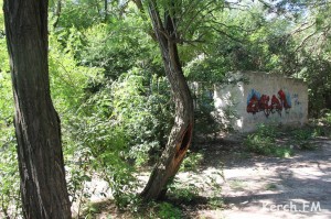 1374586137__img_9134