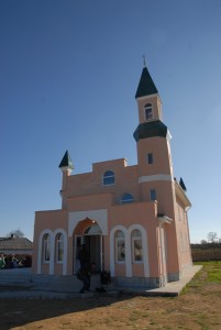 QunanCami16