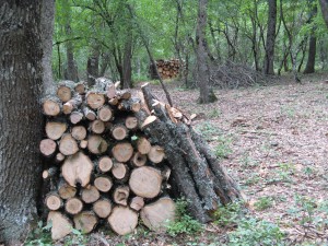 Изображение 105