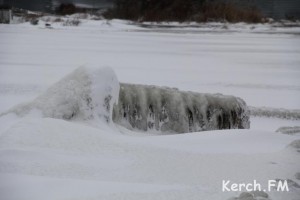 1391092987__img_2973