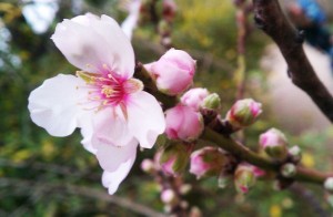 1b0e66c798cf36d360ae1e55af4d4a25