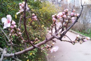 824228acc3a758b208ddf132aa007ac7