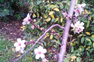 e80ab5417c5f131513a063e9136ab956