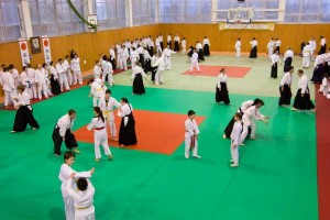 Айкидо Заозерное