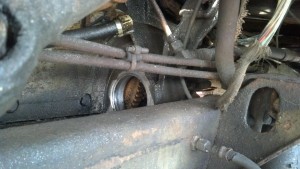 10285660_432509400219122_3040931611377958273_o