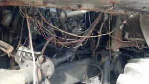 10295305_432509450219117_6456814847681000971_o