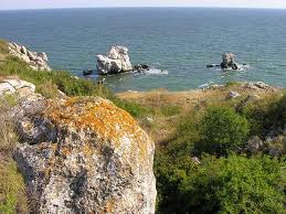 загруженное (15)