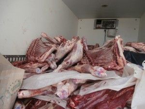 OLYMPUS DIGITAL CAMERA