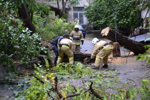 d0b51c75b8249bd9cc44531bb767837f