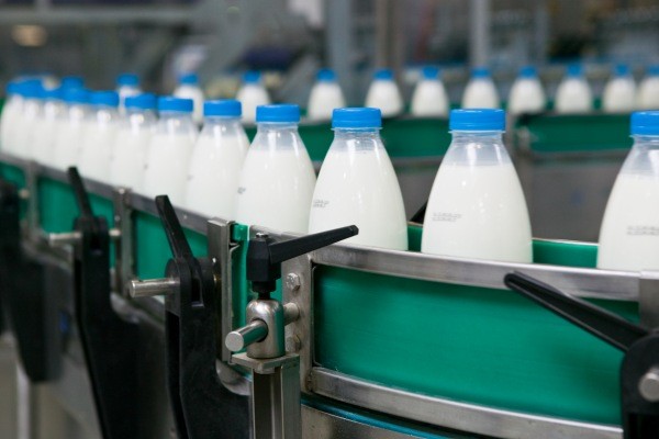 Крымский молокозавод закроют из-за недостатка украинского сырья