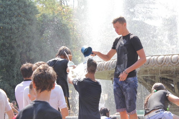 50c6b2e23fbaccfccd0d6ae4f36a4173