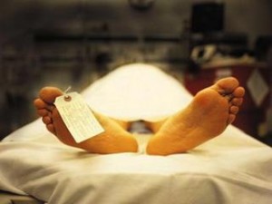 6d1897c37b2ce371c9ebbda96c446521-300x2251