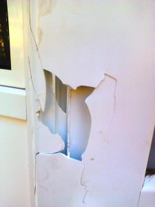 IMG_20130228_093958-225x300