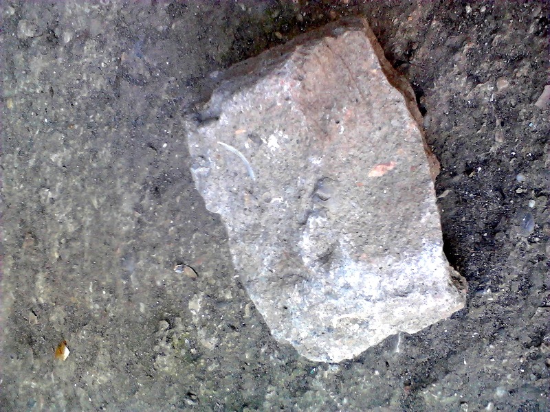 В Джанкое забросали камнями роддом, фото-2