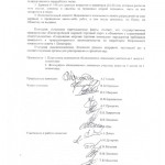 akt