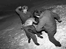 загруженное (59)