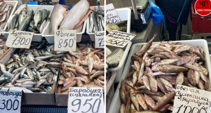 Риба на ринку в Севастополі. Фото: ЧП Севастополь