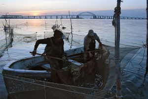 Рибалки на фоні Керченського мосту. Фото: Коммерсантъ