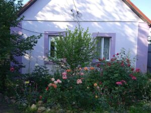 Квіти з саду Ольги є по всій Україні