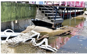 Фото: ГО “Зелений лист”