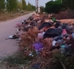 Стихійне сміттєзвалище на Арабатській стрілці, 2025 рік. Фото з окупаційних пабліків