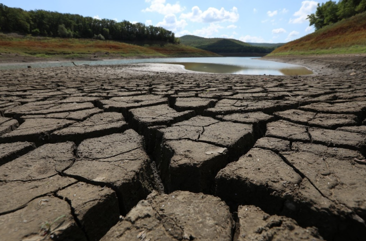 Партизанське водосховище. Фото: ТАСС