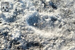 Наслідки влучання у Сумах 8 березня 2026 року. Сумська МВА