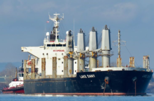 PANORMITIS Bulk Carrier, IMO: 9445021